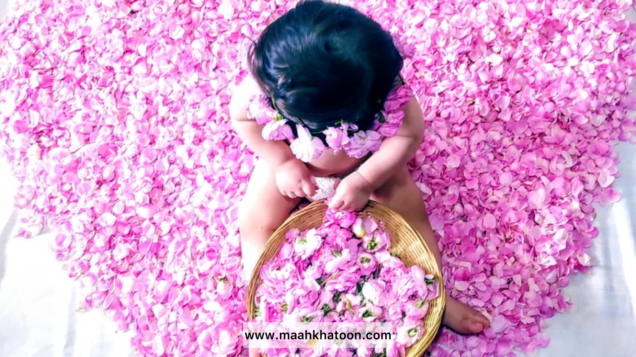 مراسم گل غلتان چگونه است؟