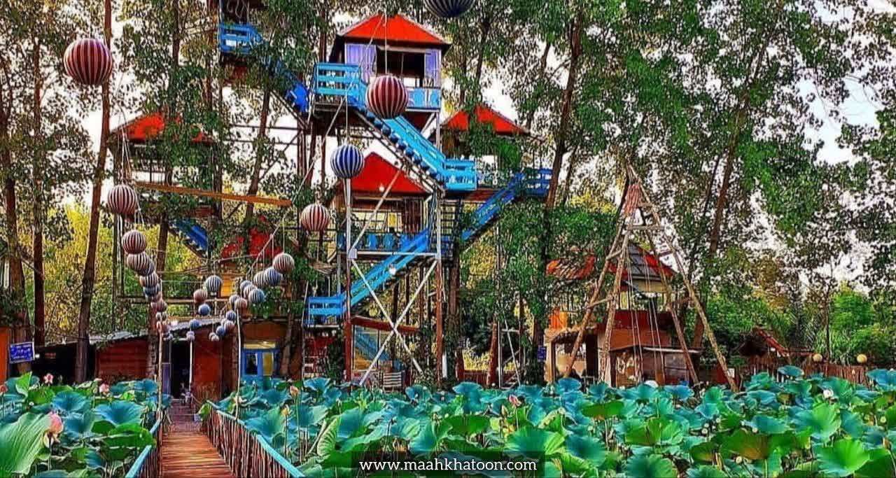 آلاچیق درختی خمام