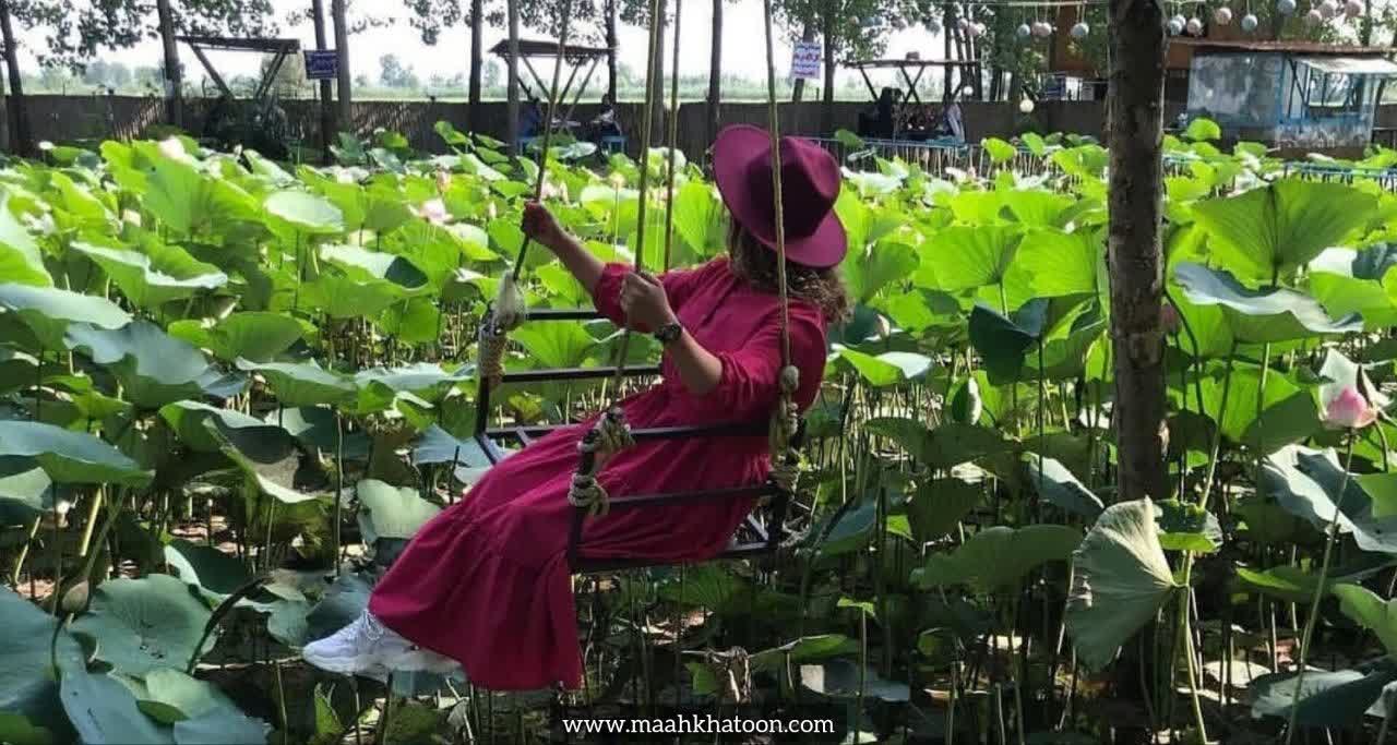 آلاچیق درختی خمام