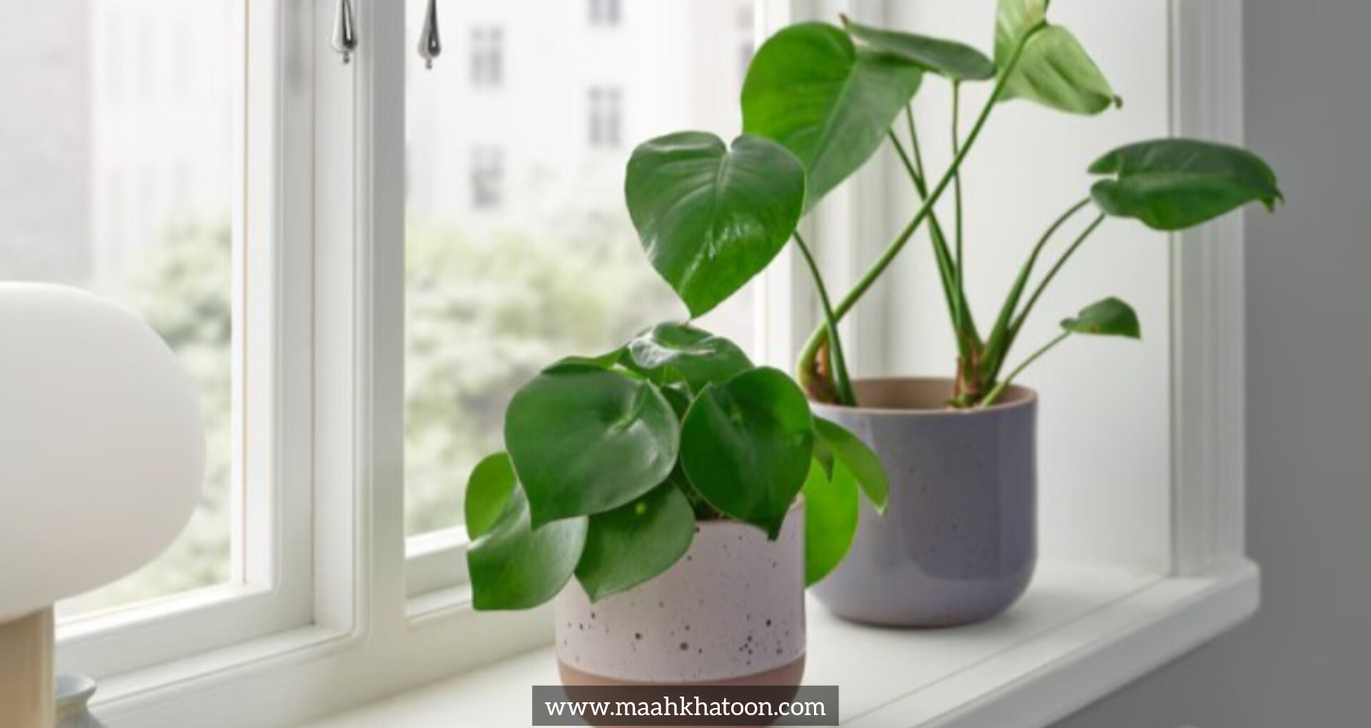 گلدان سرامیکی