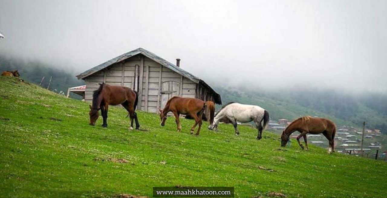 منطقه ییلاقی دشت النزه