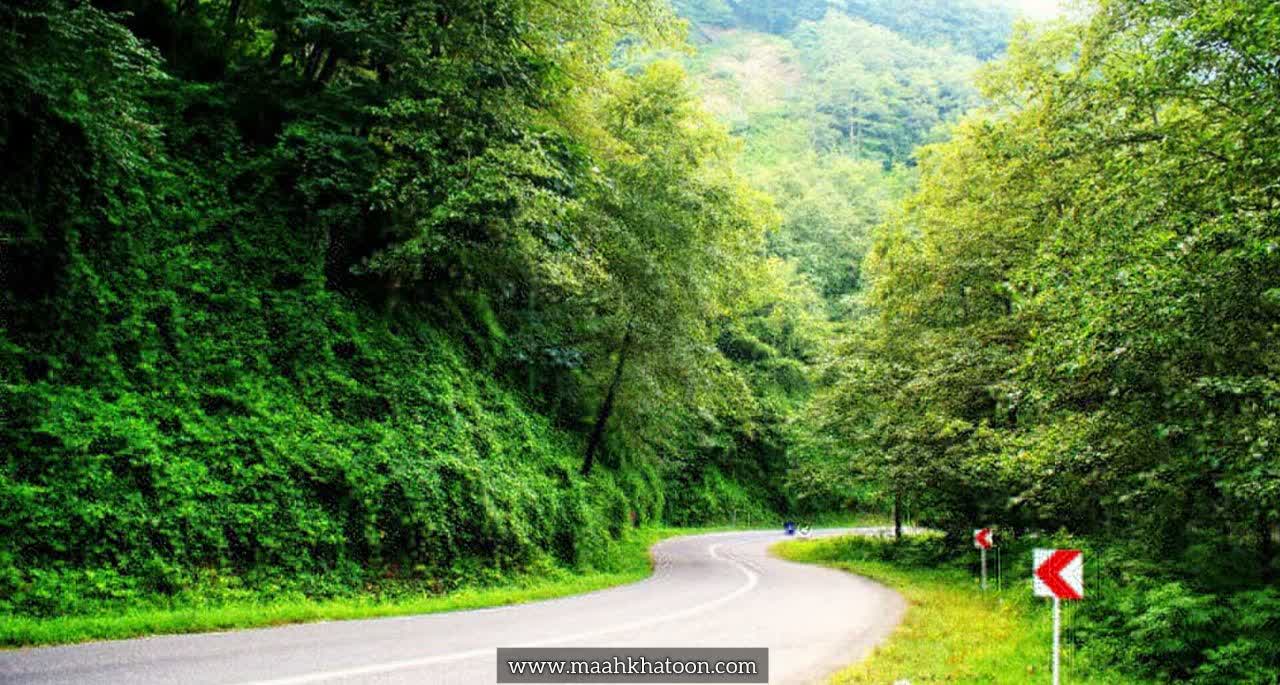 جنگل سیاهکل