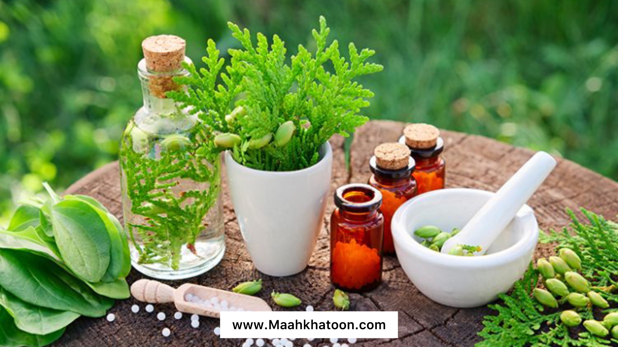 هومئوپاتی چیست؟