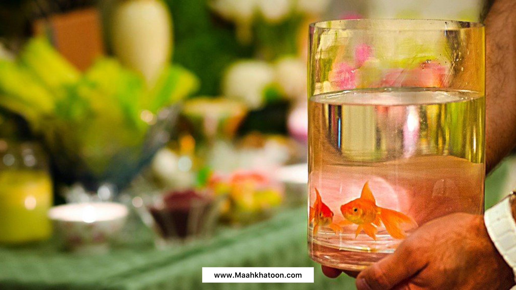 نماد سفره هفت سین چیست؟ فلسفه و نماد اجزای آن