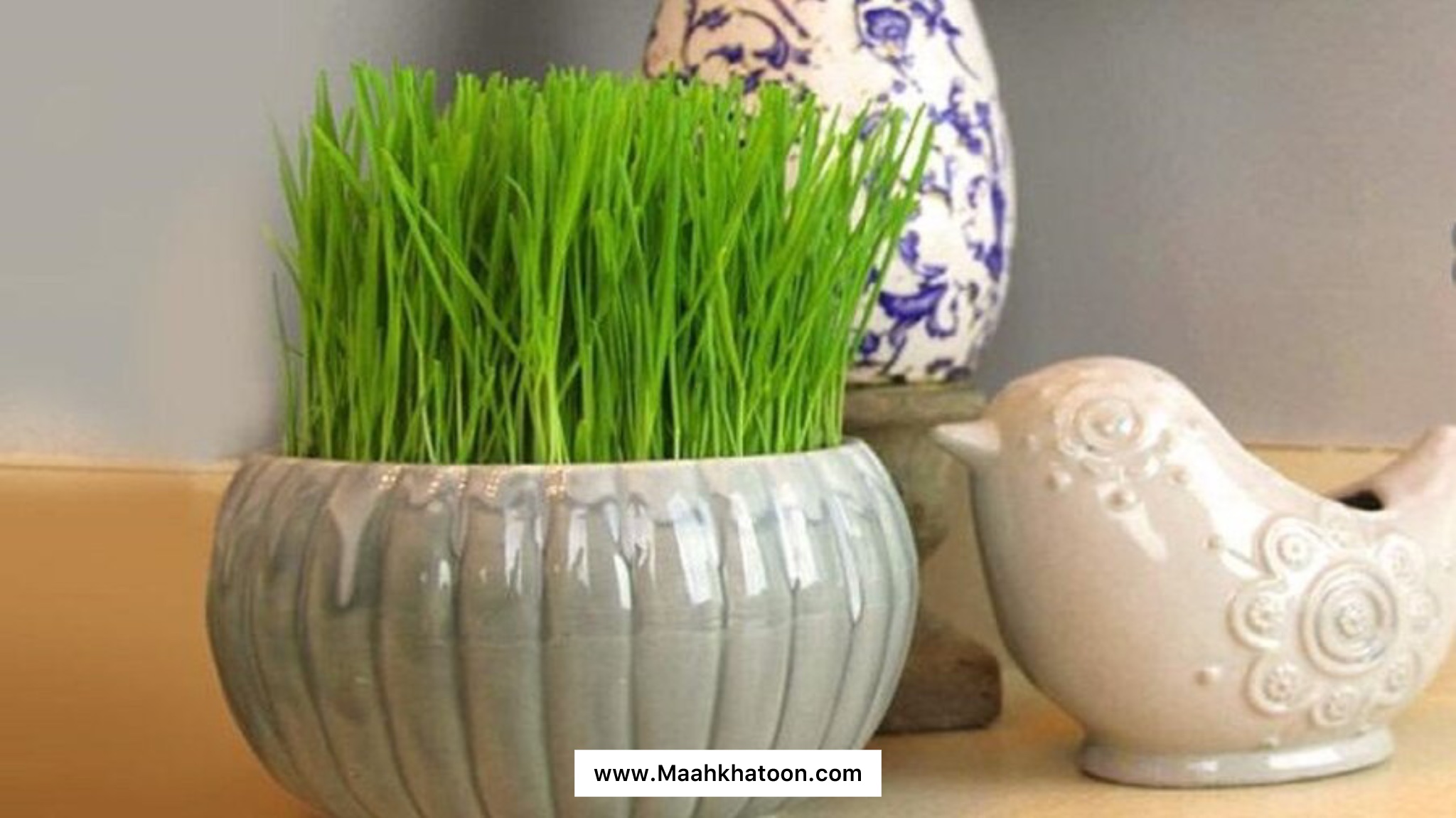 نماد سفره هفت سین چیست؟ فلسفه و نماد اجزای آن