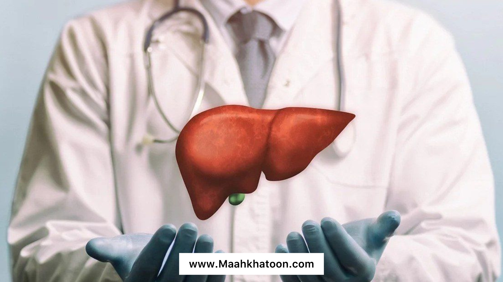 خواص خرفه برای کبد