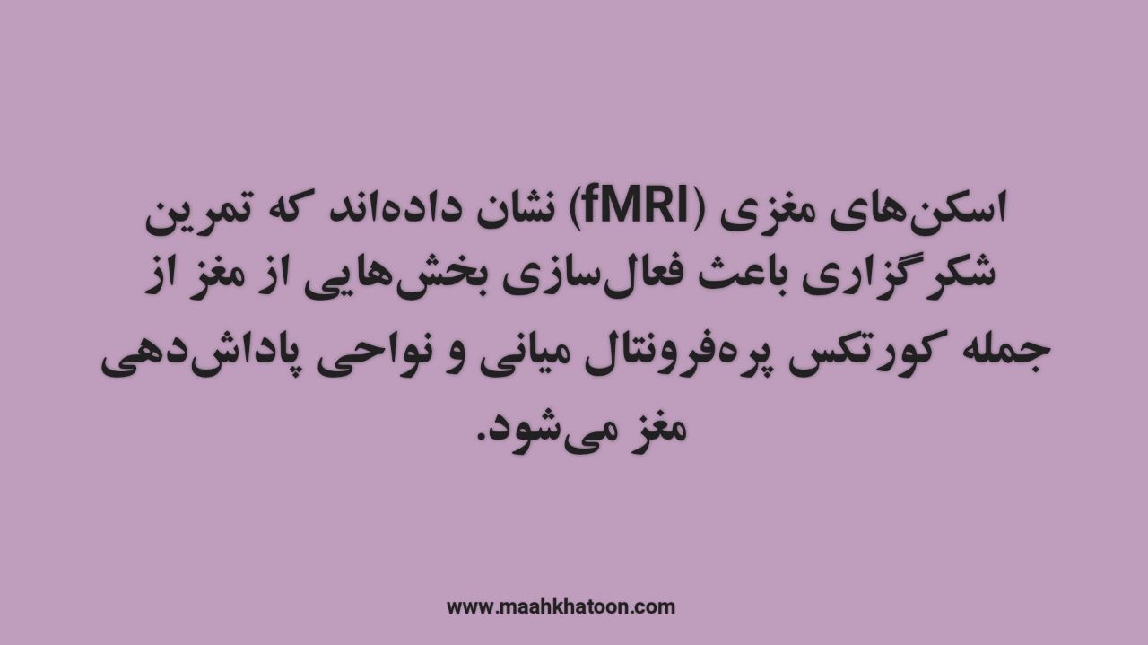 شکرگزاری چه تأثیری روی مغز و قلب دارد؟ پاسخ علم را بخوانید!