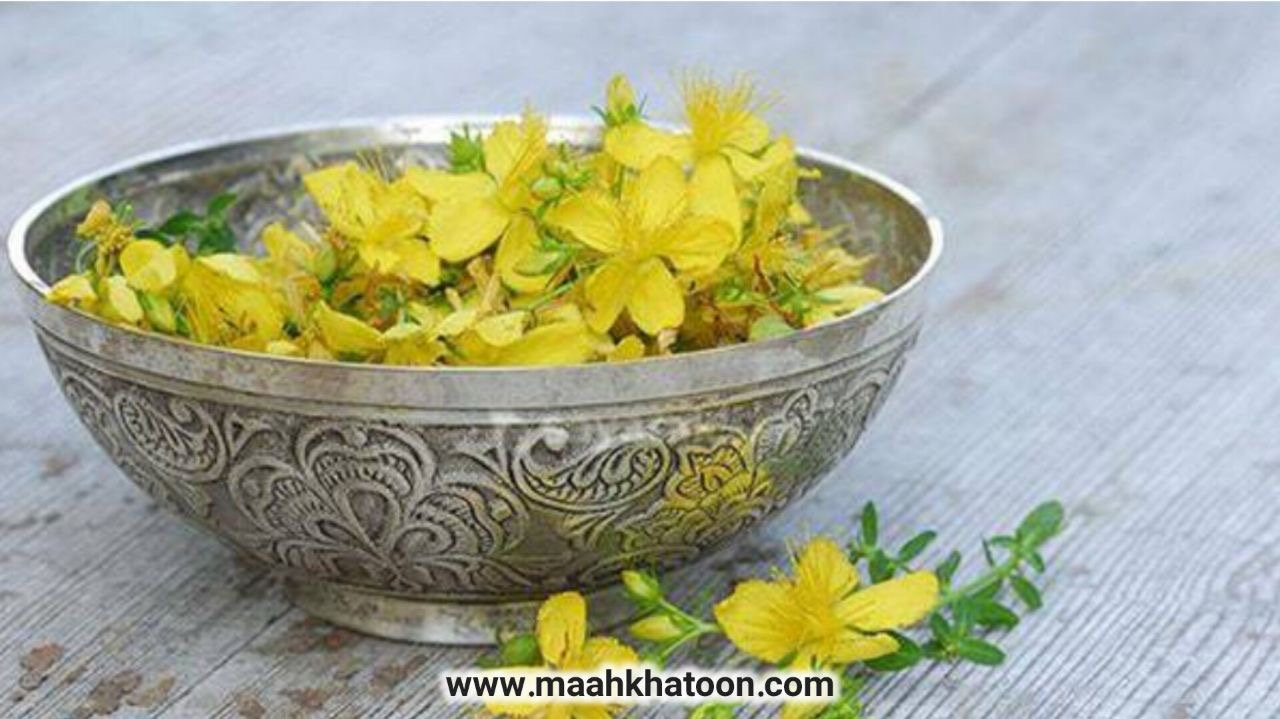 گیاه هوفاریقون؛ معجزهای طبیعی برای آرامش اعصاب و درمان افسردگی