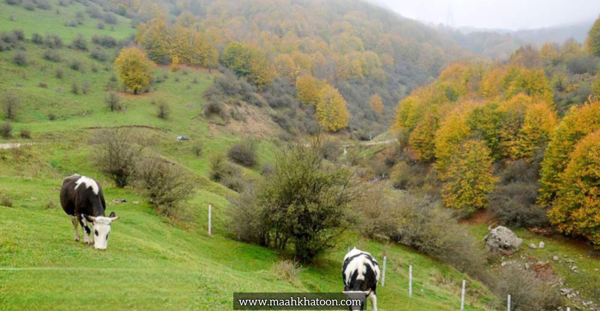 منطقهٔ گیلدَره و داماش