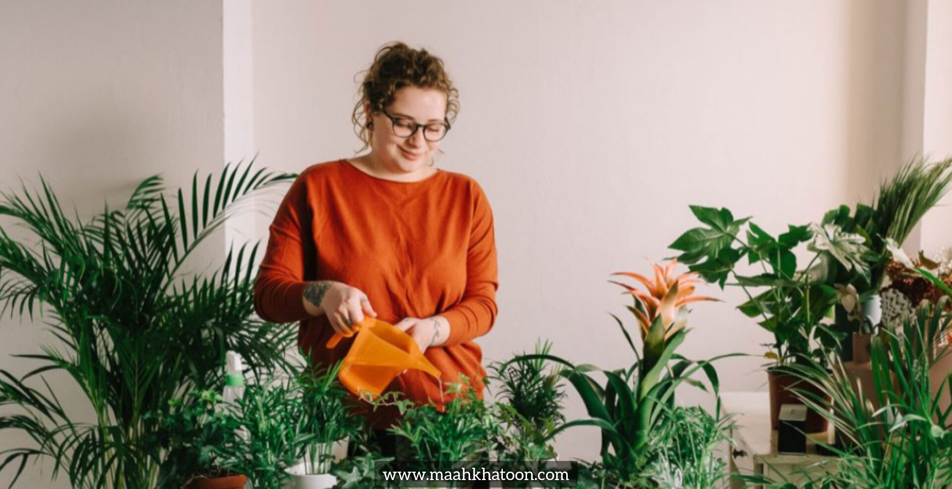 آبیاری از بالا