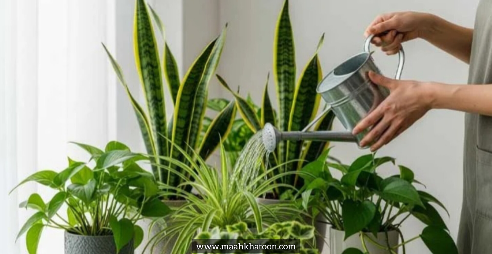 آبیاری از بالا یا پایین