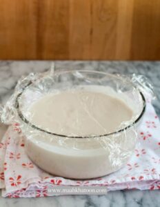 بستنی گیاهی