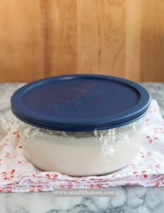 بستنی گیاهی