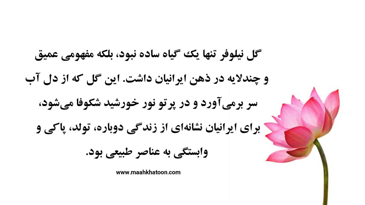 جشن نیلوفر در ایران باستان؛ از نماد گل نیلوفر تا آیینهای شادمانی