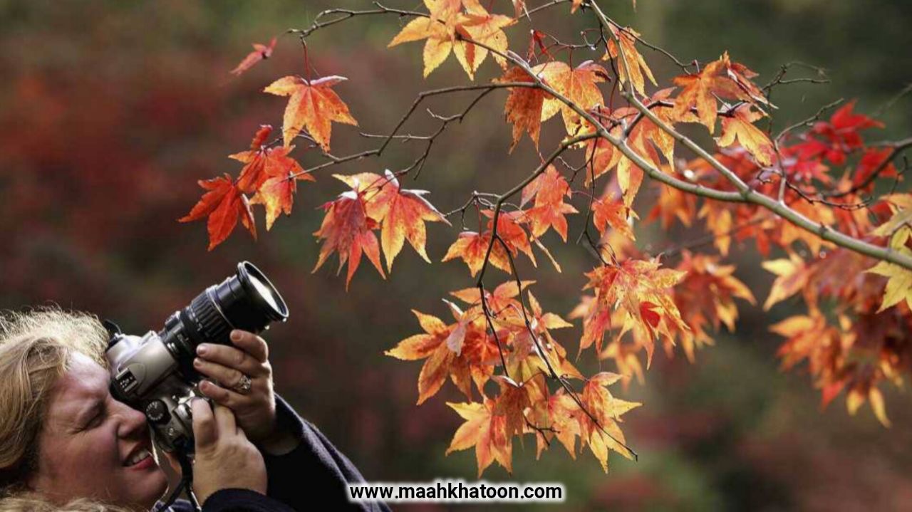 روز جهانی عکاسی در ۲۸ مرداد؛ نگاهی به تاریخچه و تحول این هنر ماندگار