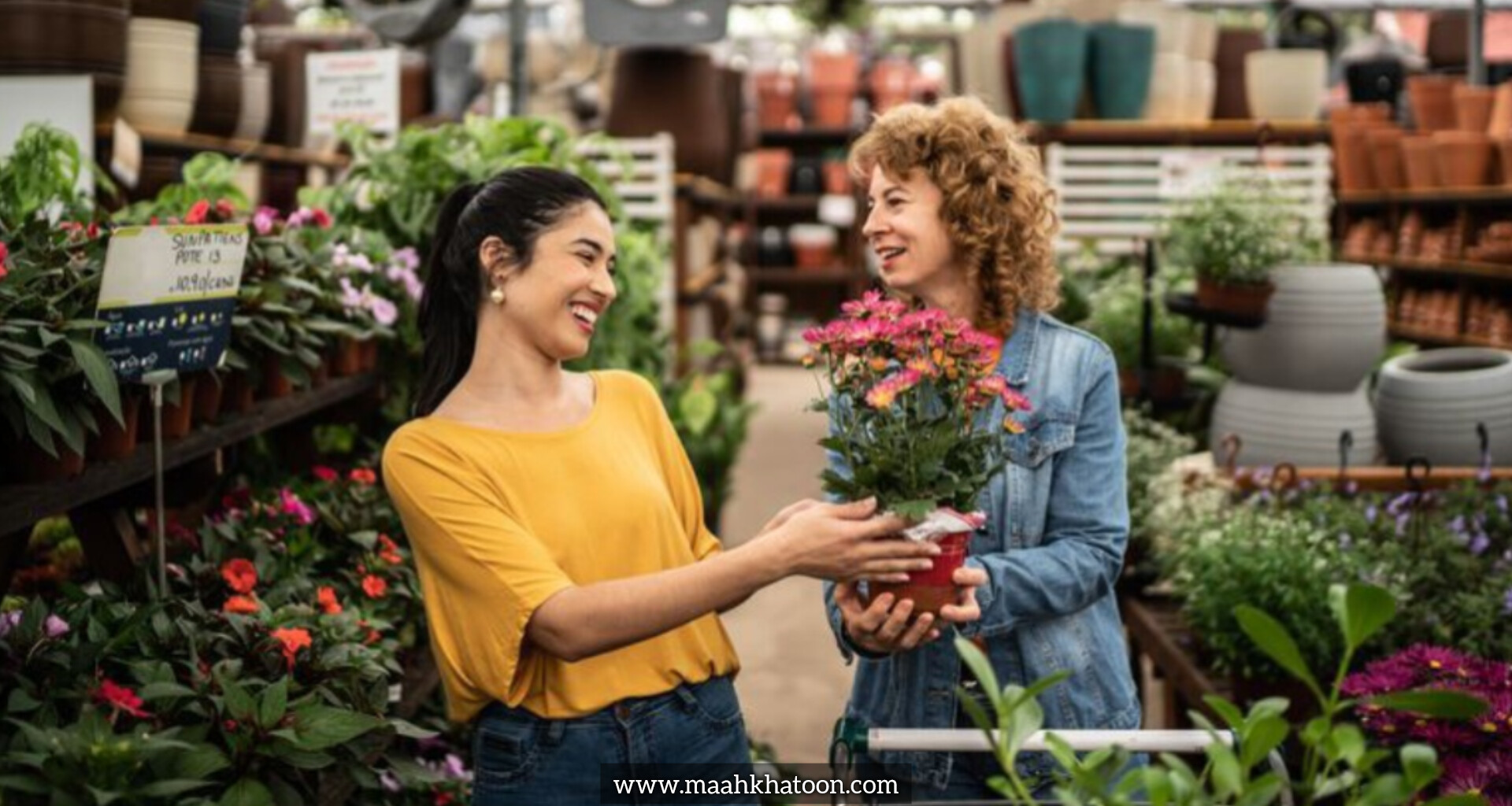 انتخاب گیاه بر اساس سبک زندگی