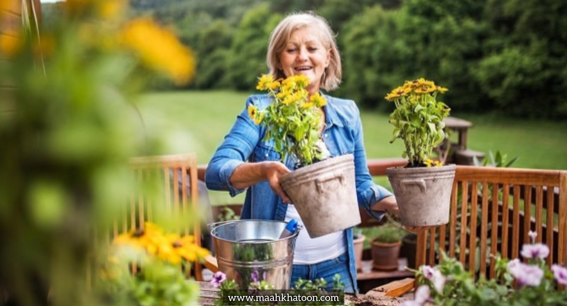انتخاب گیاه بر اساس سبک زندگی
