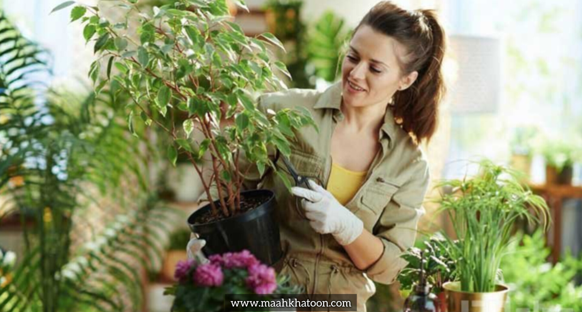 انتخاب گیاه بر اساس سبک زندگی