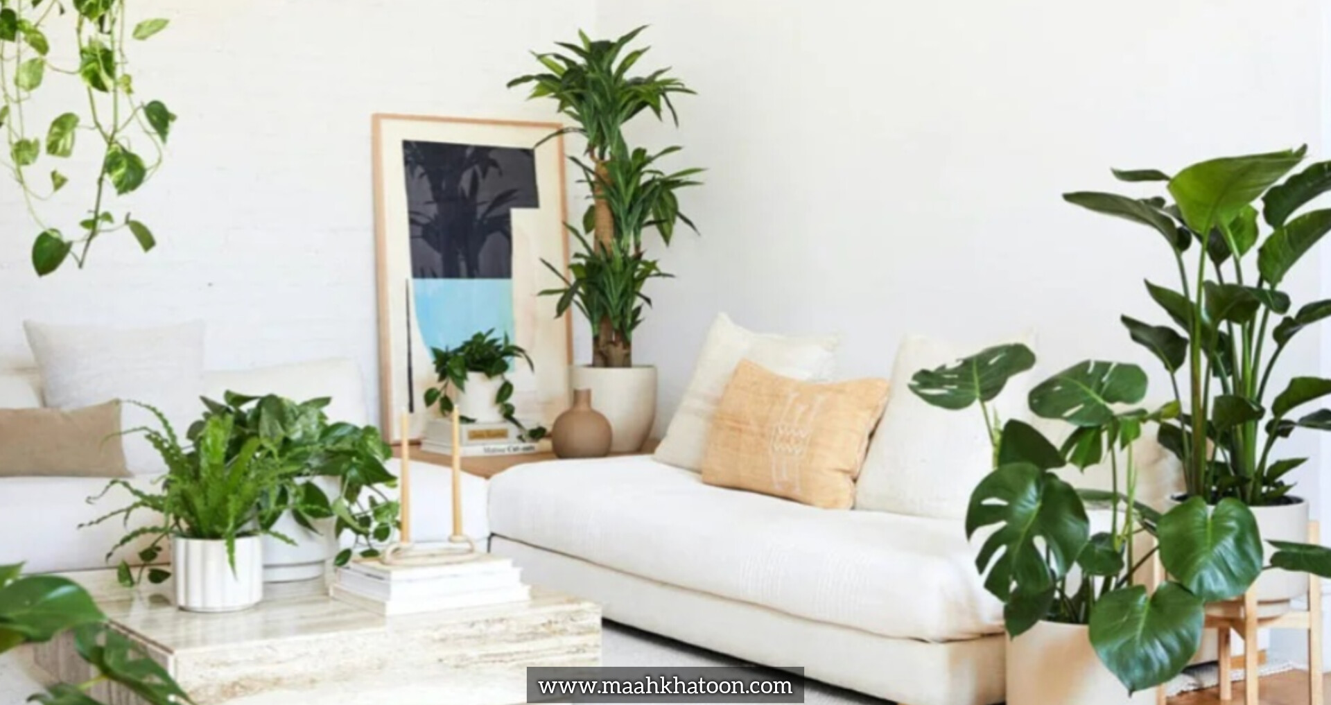 انتخاب گیاه بر اساس سبک زندگی