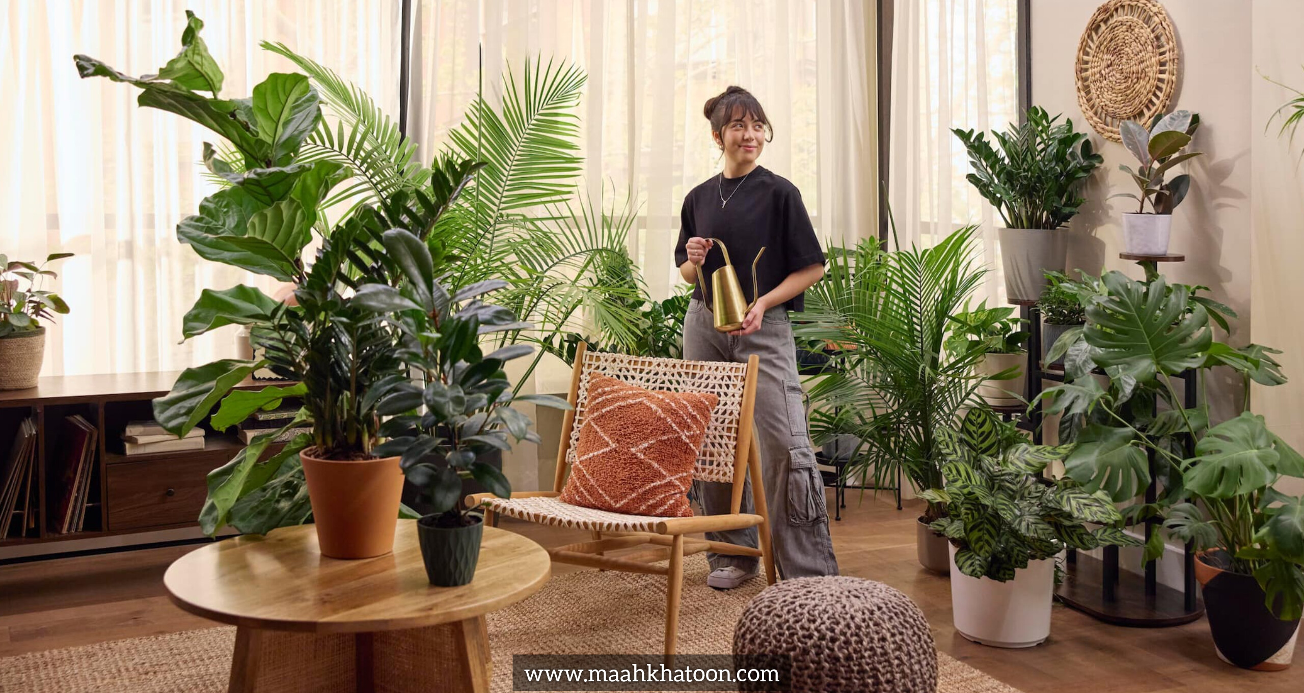 رازهای داشتن گیاهان همیشه سبز در خانه