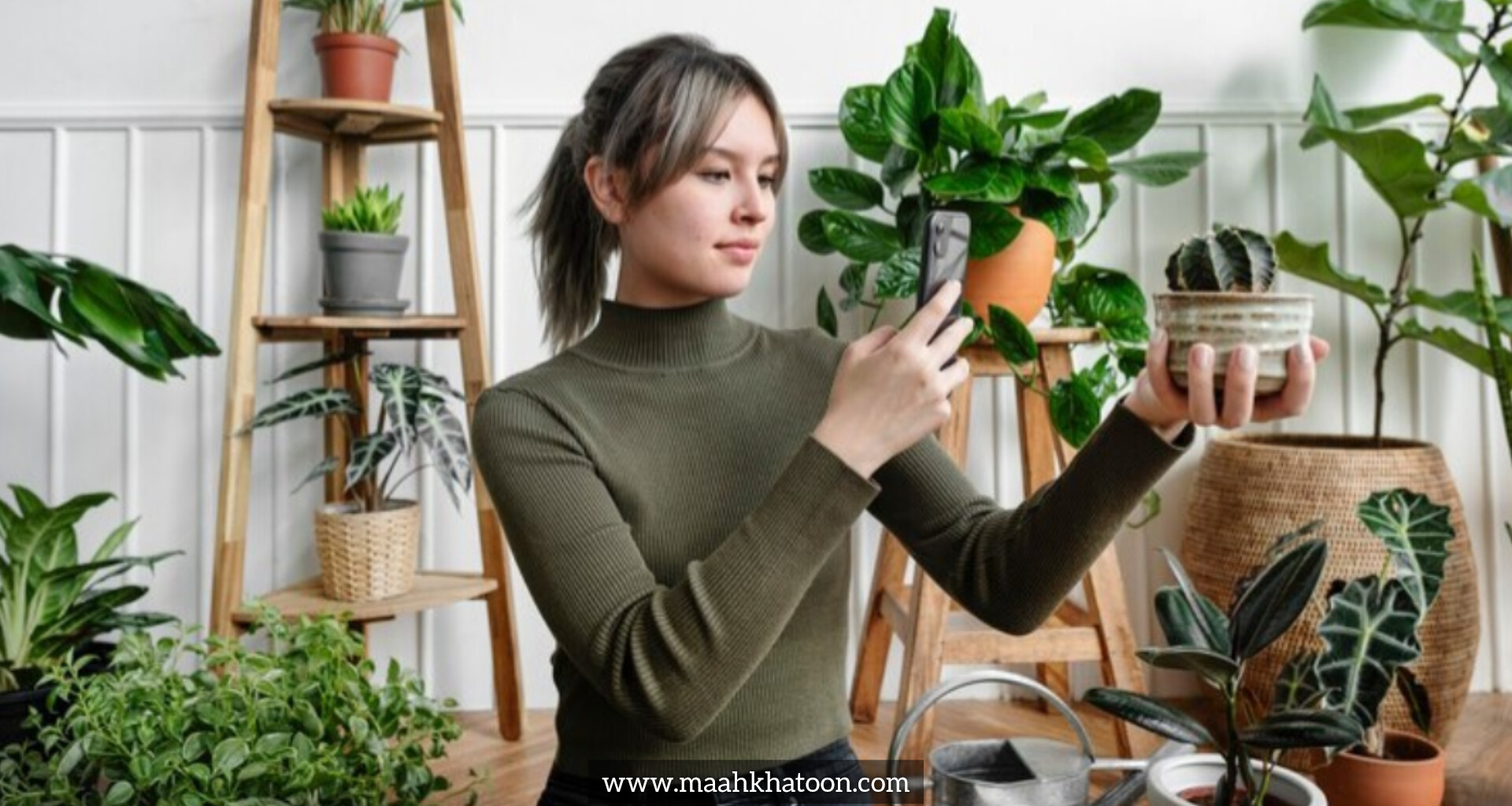 رازهای داشتن گیاهان همیشه سبز در خانه