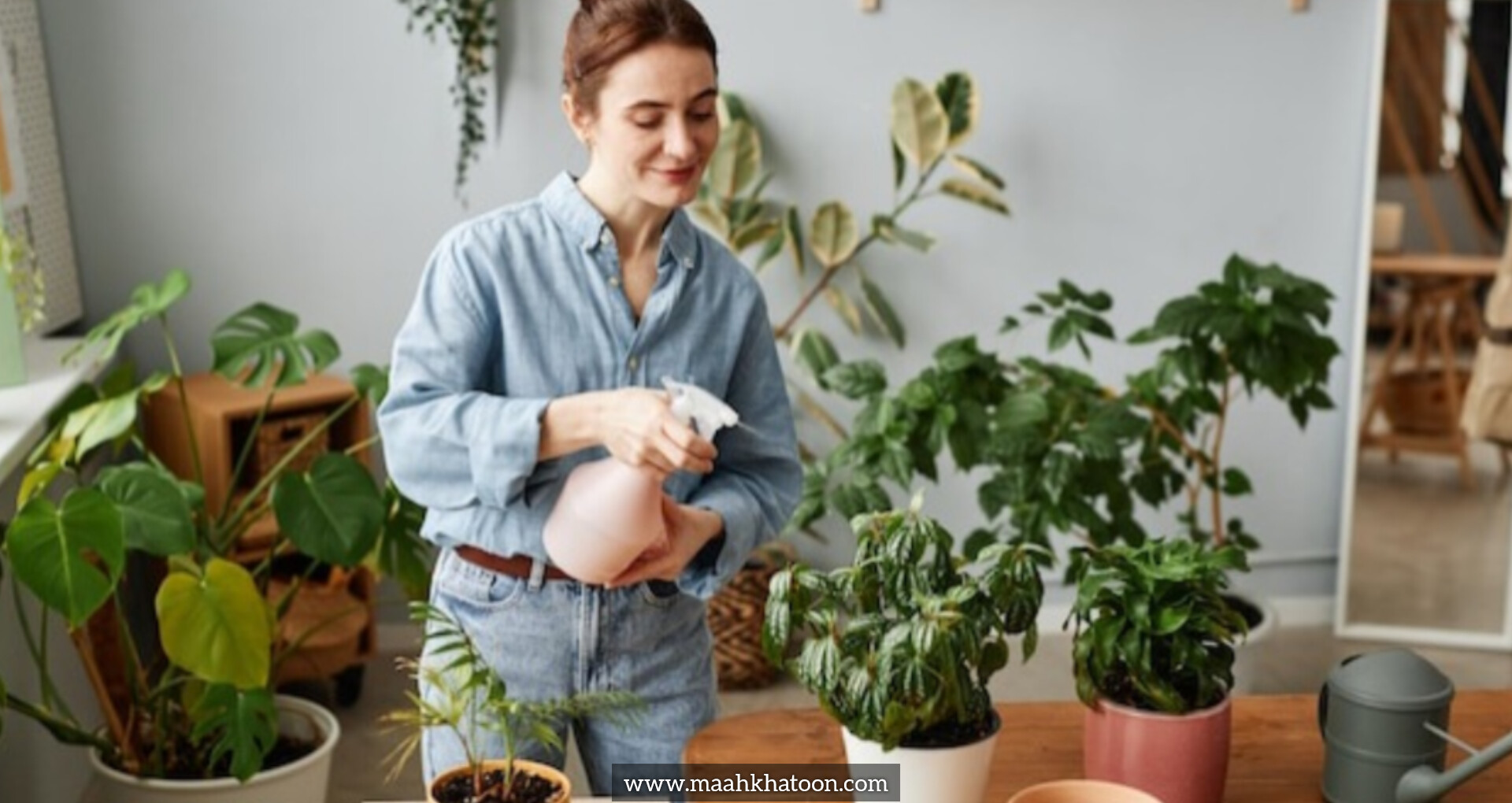 رازهای داشتن گیاهان همیشه سبز در خانه