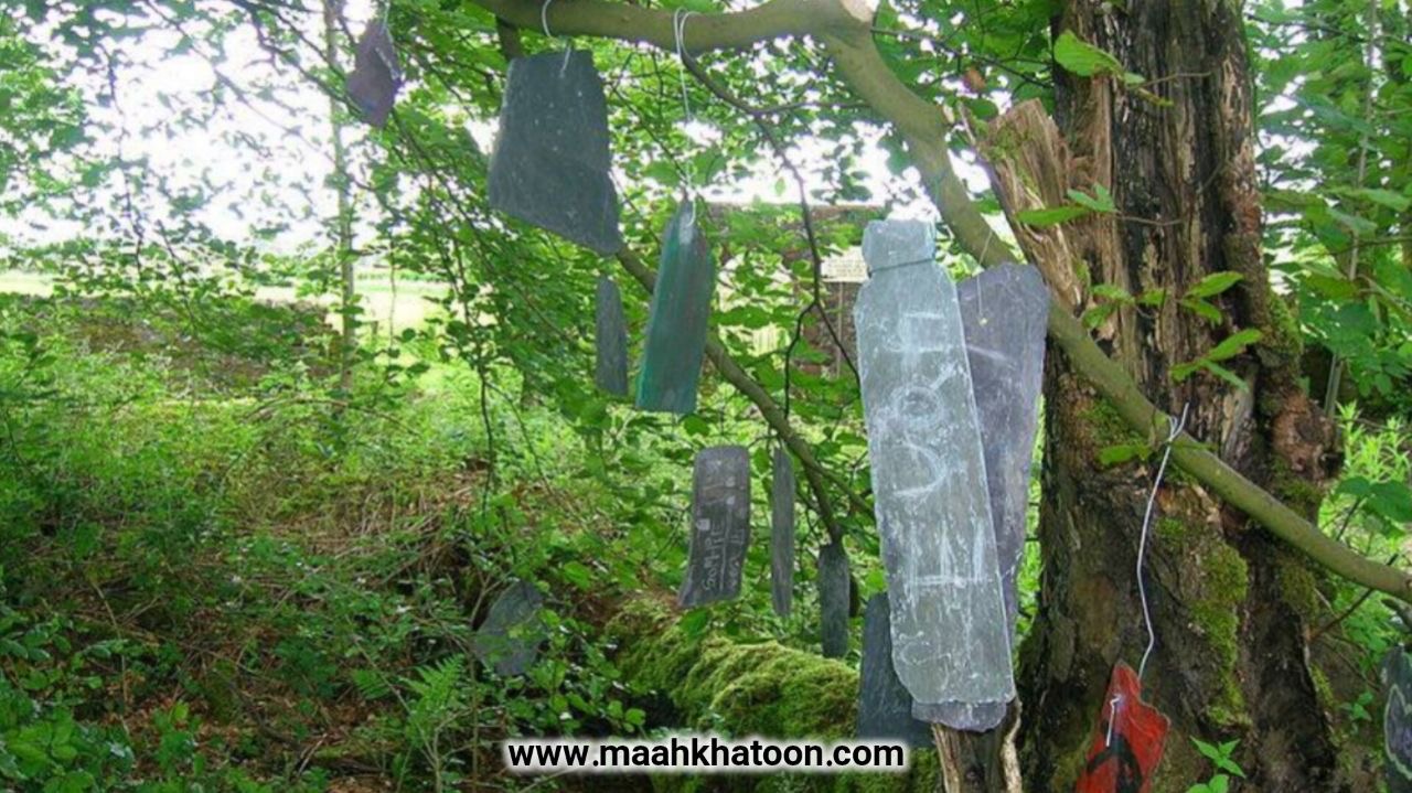 بستن قفل بر درخت و ضریح؛ آیینی میان نذر، امید و معنویت