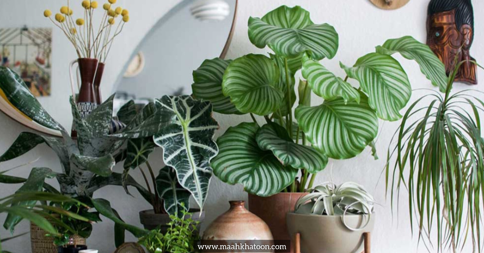 تأثیر گل و گیاه در زندگی