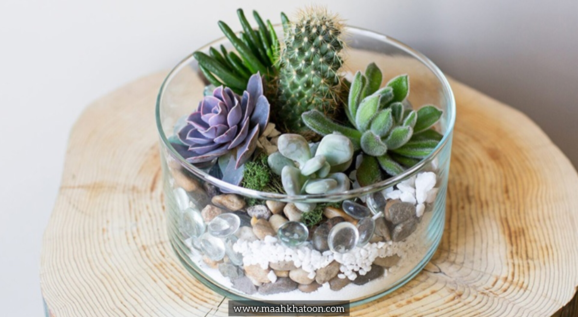 چگونه یک تراریوم زیبا در خانه بسازیم؟
