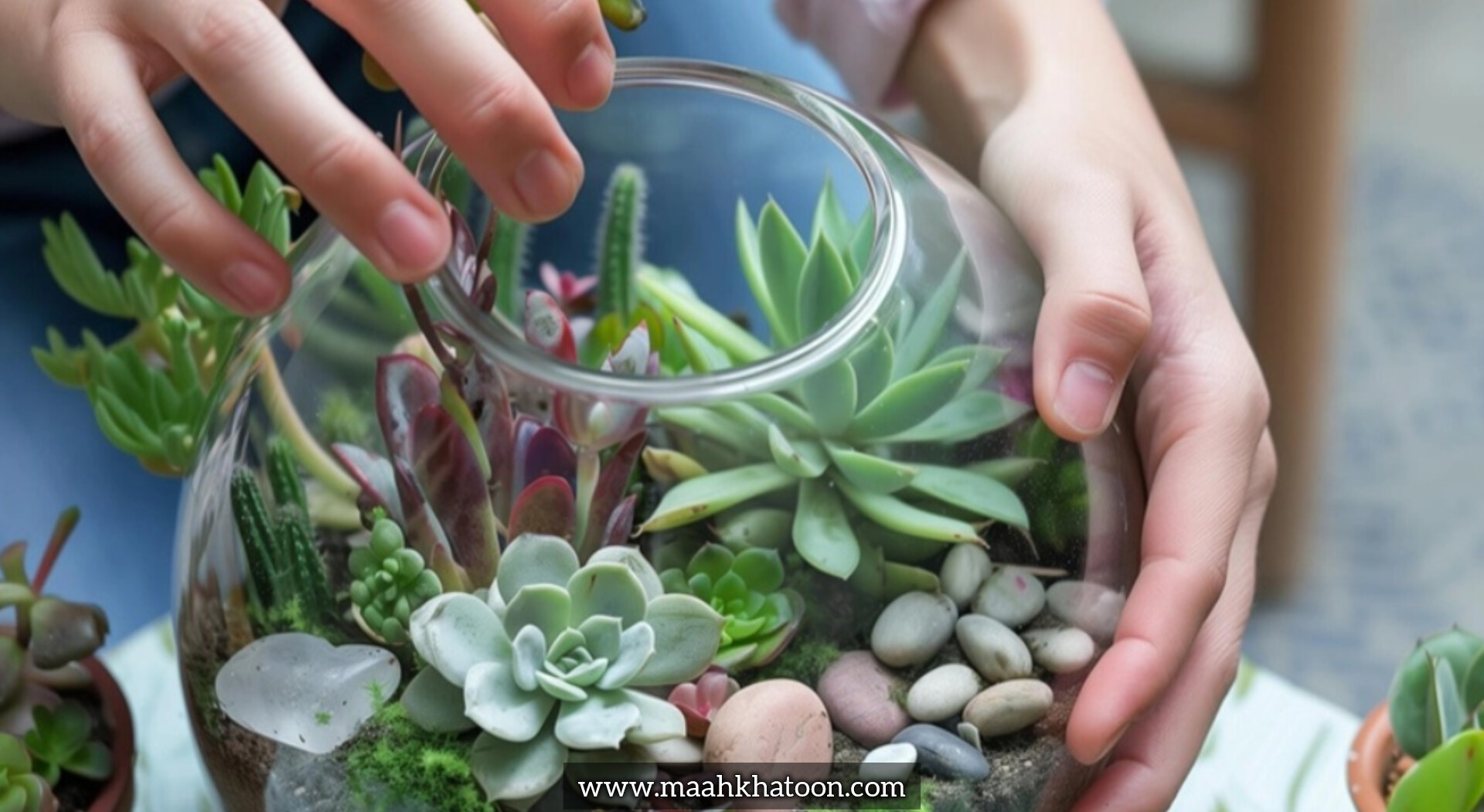 چگونه یک تراریوم زیبا در خانه بسازیم؟