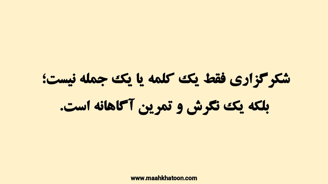 قدرت شکرگزاری؛ نوری برای روشن کردن تاریک ترین روزهای زندگی