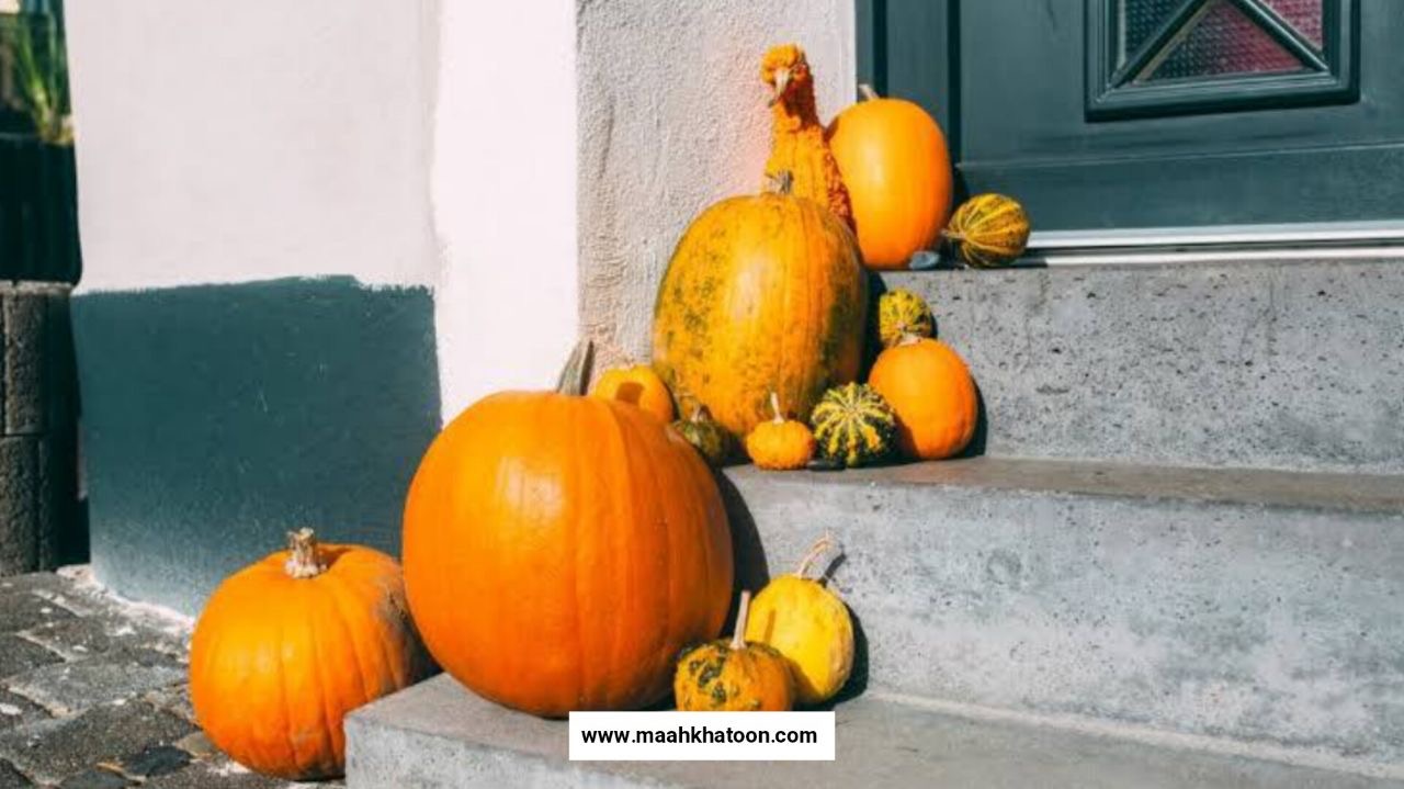 روز جهانی کدو تنبل - تاریخچه کدو تنبل