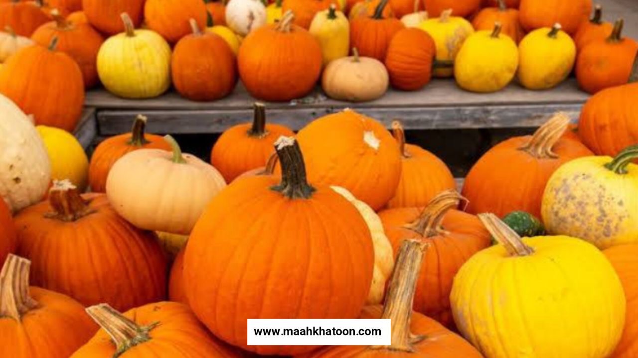 روز جهانی کدو تنبل - خواص کدو تنبل