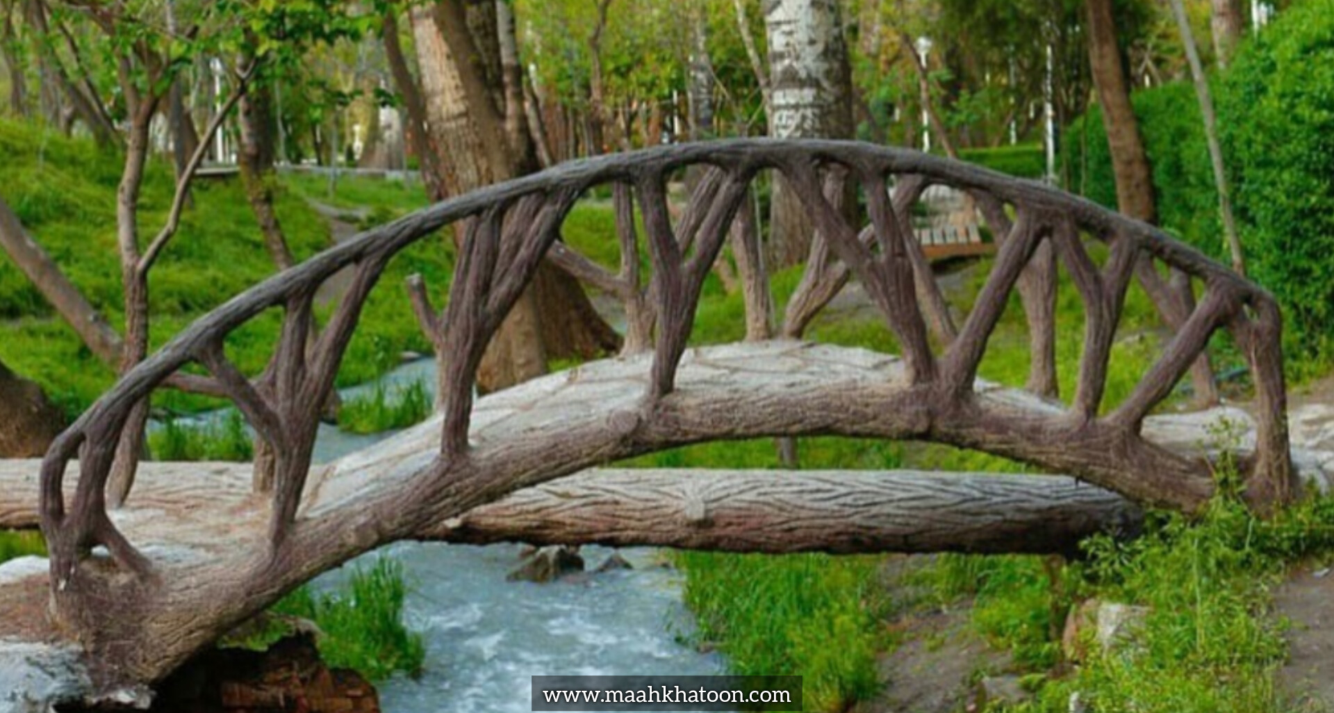 پارک وکیلآباد