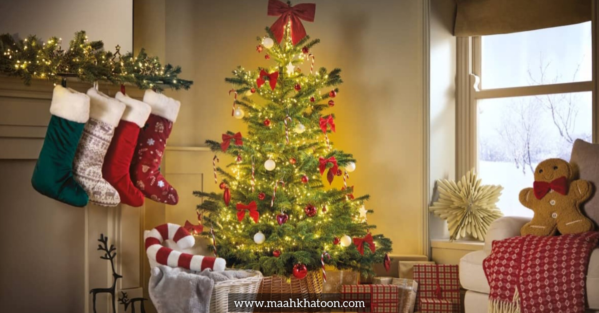 چرا کاج و صنوبر برای درخت کریسمس انتخاب میشوند؟