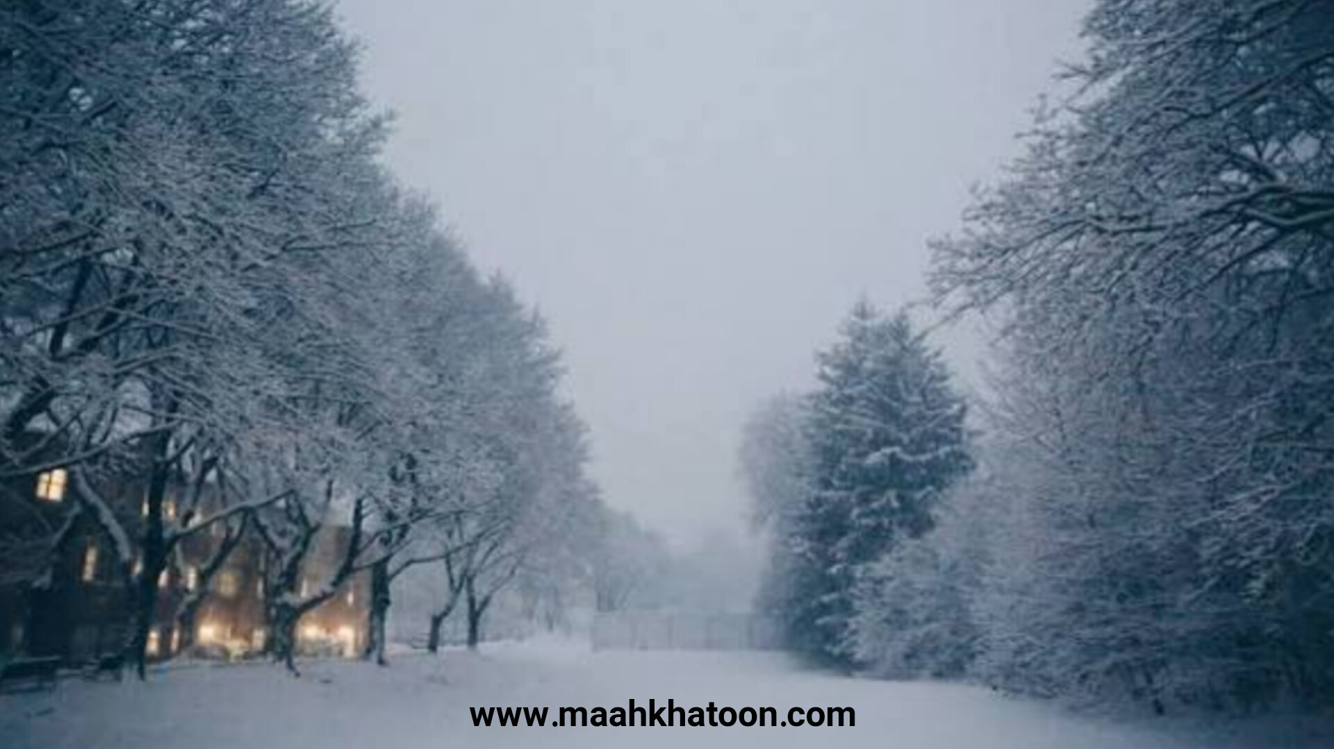 ۲۸ دی؛ روز جهانی برف